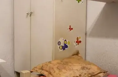 Kitnet / stúdio para aluguel - vila aricanduva, 1 quarto,  30 m² - são paulo