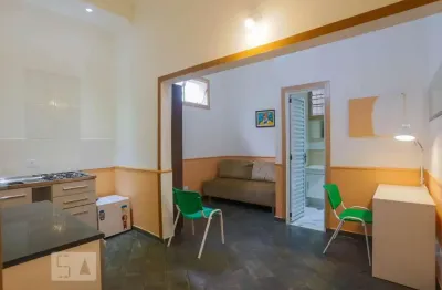 Apartamento para aluguel - cambuci, 1 quarto,  20 m² - são paulo