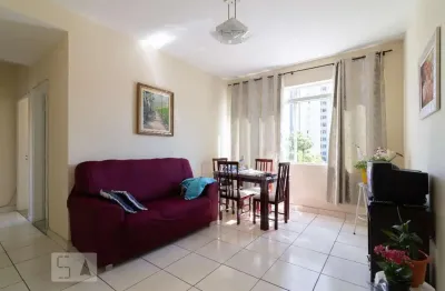 Apartamento para aluguel - cambuci, 2 quartos,  62 m² - são paulo