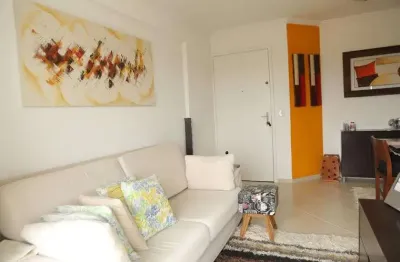 Apartamento para Aluguel - Vila Liviero, 2 Quartos,  55 m² - São Paulo