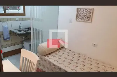 Apartamento para Aluguel - Cambuci, 1 Quarto,  19 m² - São Paulo