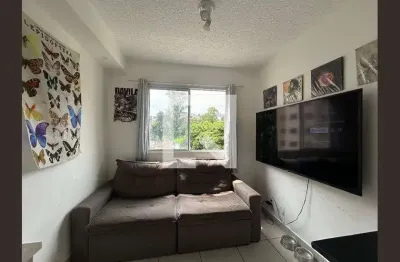 Apartamento para Aluguel - Piqueri, 2 Quartos,  33 m² - São Paulo