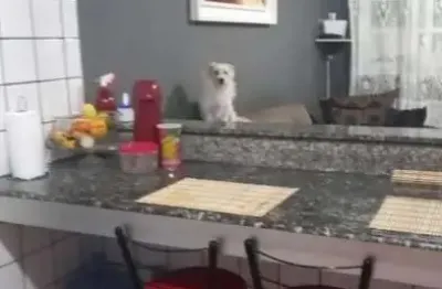 Casa em condomínio fechado com 2 quartos à venda na Rua José Antônio Pereira, 2081, Potecas, São José