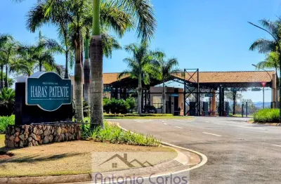 Residencial haras patente - lote à venda no haras patente | 1.105,80 m² com aclive e vista privilegiada