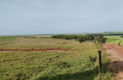 Chácara / sítio com 3 quartos à venda na Rua Antônio Cesário, Zona Rural, Iguaraçu