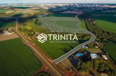 Terreno à venda no Recanto Tropical, Cascavel 