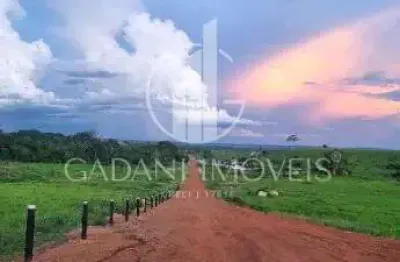 Fazenda à venda na Fazenda Paraiso, 1, Zona Rural, Nova Santa Helena
