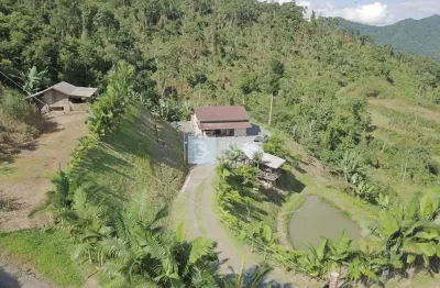 Chácara / sítio com 3 quartos à venda no patrimônio, massaranduba , 130 m2 por r$ 590.000