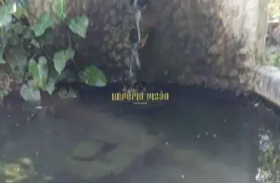 Sítio à venda com área de 26.800m², piscina, água da serra e reserva da mata em quatinga - mogi das cruzes-sp
