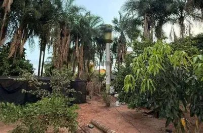 Chácara / sítio com 3 quartos à venda na Rua Sebastião Da Silva Costa, 116, Centro, Cedral