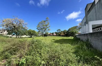 Terreno para venda em florianópolis, são joão do rio vermelho