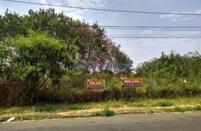 Terreno comercial para alugar na rua josé lins do rêgo, s/nº, parque alto taquaral, campinas por r$ 3.800