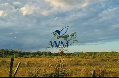 Imóvel rural para investimento em local de valorização em alta.