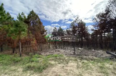 Terreno à venda no Nova Tramandaí, Tramandaí 