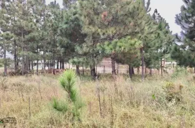 Terreno à venda no Nova Tramandaí, Tramandaí 