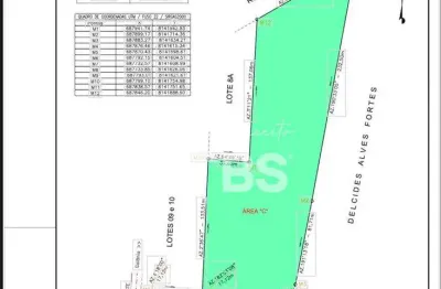 Excelente area comercial as margens da br 153 - ideal para galpoes , empresas de logistica