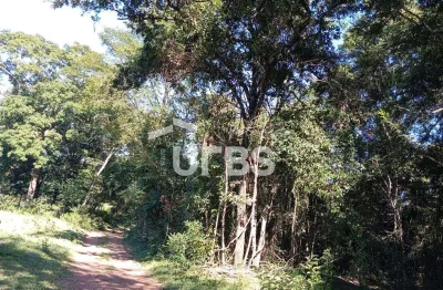 Fazenda à venda na Rua dos Pedreiros, 00, Cidade Livre, Aparecida de Goiânia