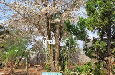 Chácara / sítio com 6 quartos à venda na Rua Vicinal 3, Sítios Olhos D'agua, Senador Canedo