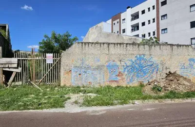 Terreno comercial à venda na travessa tereza francisca dissenha conque, 83, são domingos, são josé dos pinhais por r$ 650.000