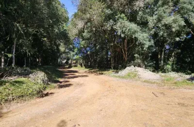 Chácara / sítio à venda na rua ari buhrer machado, 1000, saltinho, tijucas do sul por r$ 550.000