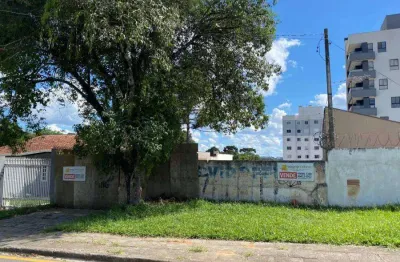Terreno à venda na Rua Duque de Caxias, Aristocrata, São José dos Pinhais