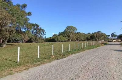Terreno comercial à venda na rua nestor negoseki, 4000, campina do taquaral, são josé dos pinhais por r$ 1.690.000
