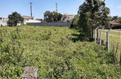 Terreno comercial à venda na rua quirino zagonel, 2886, braga, são josé dos pinhais por r$ 3.600.000