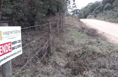 Chácara / sítio à venda na estrada manoel pereira vale, zona rural, mandirituba por r$ 350.000