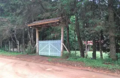 Chácara / sítio à venda na estrada manoel pereira vale, saltinho, tijucas do sul por r$ 350.000
