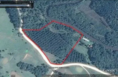 Chácara / sítio à venda na estrada ari buhrer machado, saltinho, tijucas do sul por r$ 390.000