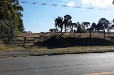 Terreno comercial à venda na alameda bom pastor, 1000, barro preto, são josé dos pinhais por r$ 4.850.000