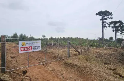 Terreno comercial à venda na Estrada Principal Do Taquaroca, Ambrósios, Tijucas do Sul