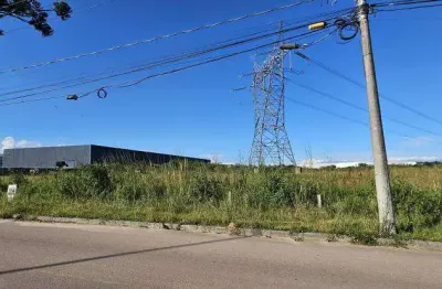 ÁREA INDUSTRIAL CAMPO LARGO DA ROSEIRA COM 33.959,89 m² - SJP