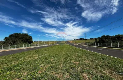 Terreno à venda - bairro residencial pouso alegre, franca-sp, 250 m²
