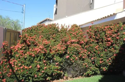 Casa com 3 quartos à venda no Vivendas do Bosque, Campo Grande 