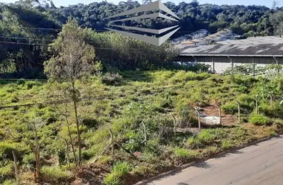 Terreno comercial à venda na rua são vicente, parque rincão, cotia, 2 m2 por r$ 1.160.900
