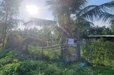Terreno em condomínio fechado à venda no Morro do Algodão, Caraguatatuba 