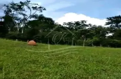 Chácara com 20 mil m² com escritura definitiva rodovia dos tamoios, jambeiro/sp