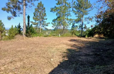 Terreno à venda no Massaguaçu, Caraguatatuba 