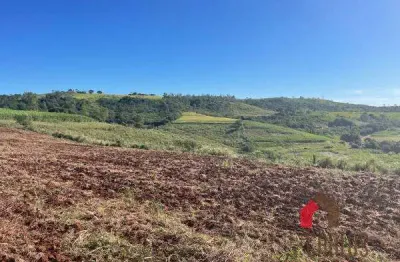 Chácara / sítio com 1 quarto à venda no Ouro Branco, Londrina 