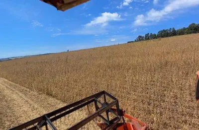 Chácara / sítio com 1 quarto à venda no Centro, São Jerônimo da Serra 