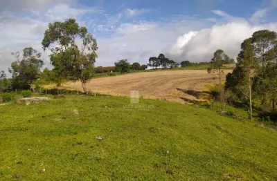 Chácara / sítio com 1 quarto à venda no Centro, Jaguapitã 