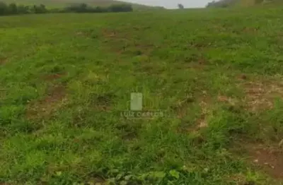 Chácara / sítio com 1 quarto à venda no Centro, Ibiporã 