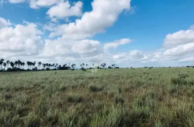 Chácara / sítio com 1 quarto à venda no Centro, Boa Vista 