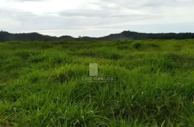 Chácara / sítio com 1 quarto à venda na Zona Rural, Prudentópolis 