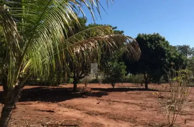 Chácara / sítio com 3 quartos à venda no Centro, Alvorada do Sul 