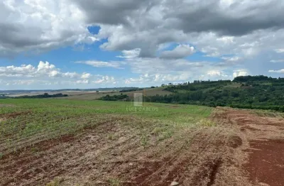 Chácara / sítio com 1 quarto à venda no Warta, Londrina 