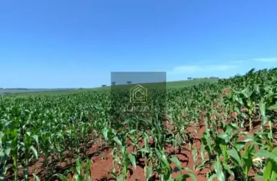 Chácara / sítio com 1 quarto à venda no Centro, Primeiro de Maio 