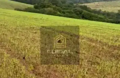 Chácara / sítio com 1 quarto à venda no Centro, Ribeirão do Pinhal 