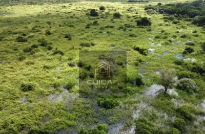 Chácara / sítio com 21 quartos à venda no Centro, Barão de Melgaço 